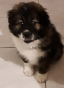 Erprobungsstufe 5 Erprobungsstufe 5