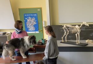 Erprobungsstufe 8 Erprobungsstufe 8