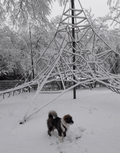 Erprobungsstufe 9 Erprobungsstufe 9