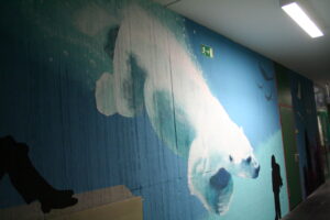 Das Bild zeigt einen gemalten Eisbären an einer Schulwand im Gebäude