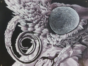 Das Bild zeigt eine gemalte Blume in schwarz weiß