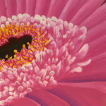 Unser Gebäude 73 Das Bild zeigt eine gemalte Blume