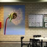 Unser Gebäude 47 Das Bild zeigt eine gemalte Pusteblume im Schulflur hängend