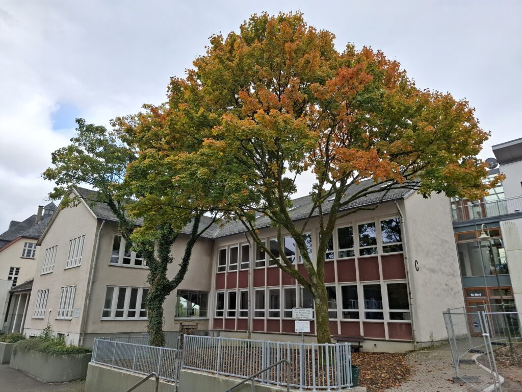 Schöne Ferien!