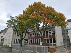 Schöne Ferien! 1
